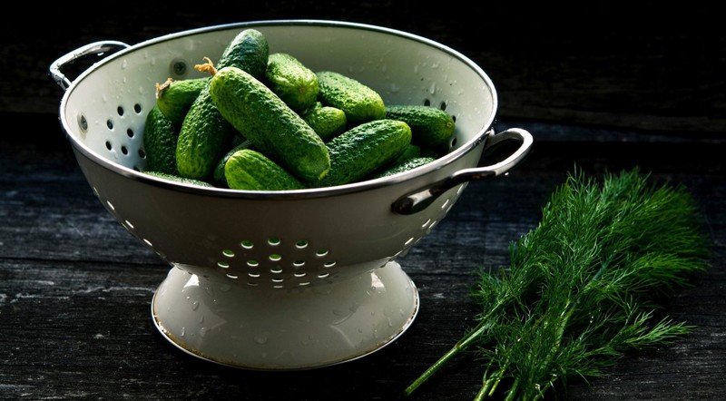 food, vegetables, Cucumber, dill, gherkins