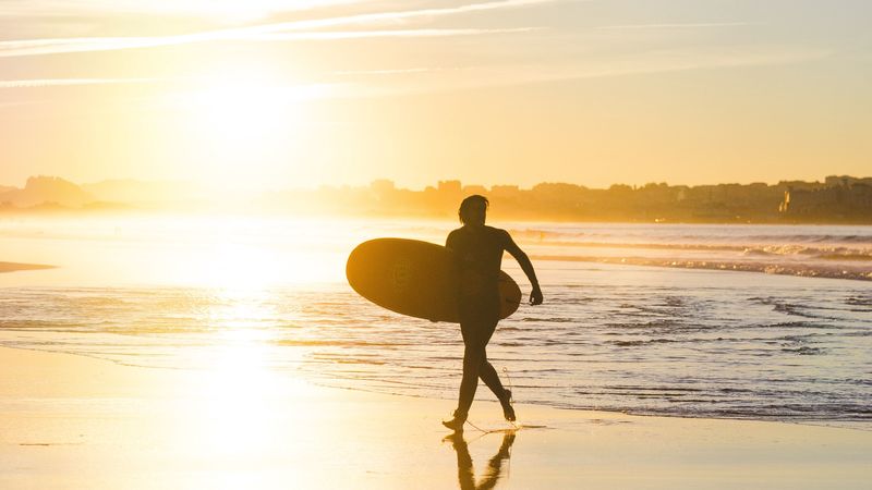 beach, surfing, board, sunset, sea, sun, 4k