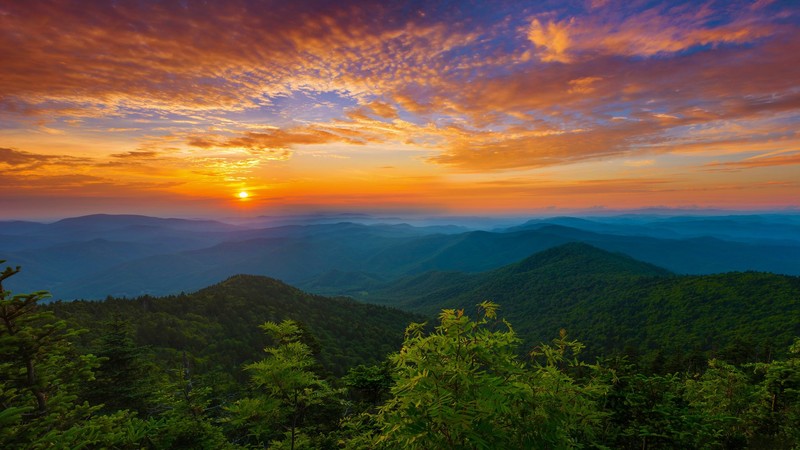 Tennessee, sunset, nature, forest