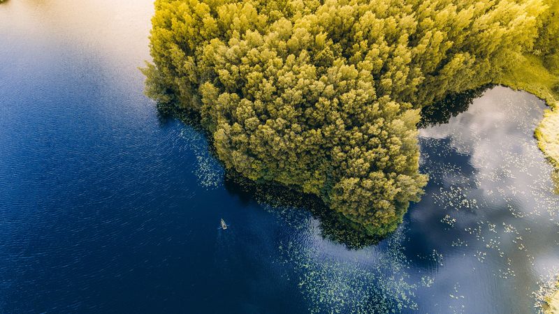 sea, boat, aerial view, trees, lithuania, 4k