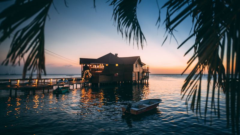 house, sea, sunset, branch, water, 4k