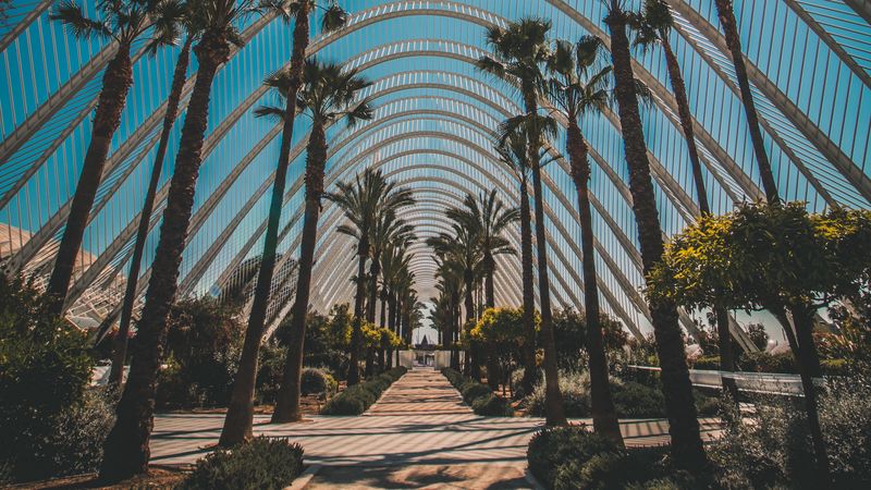 palm trees, tropics, sunlight, architecture, construction, 4k