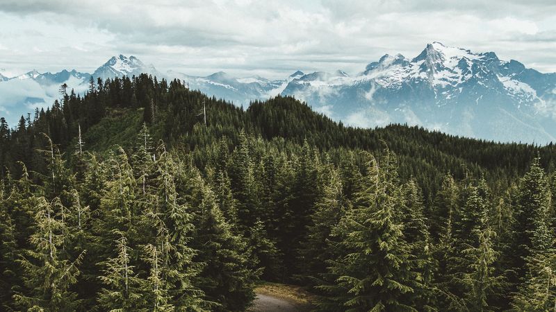 mountains, trees, road, aerial view, landscape, sky, darrington, united states, 4k