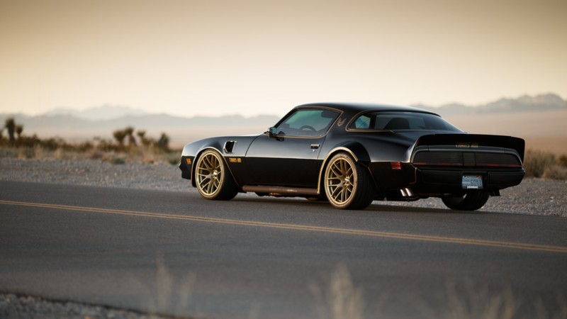 car, sports car, Trans Am, Pontiac