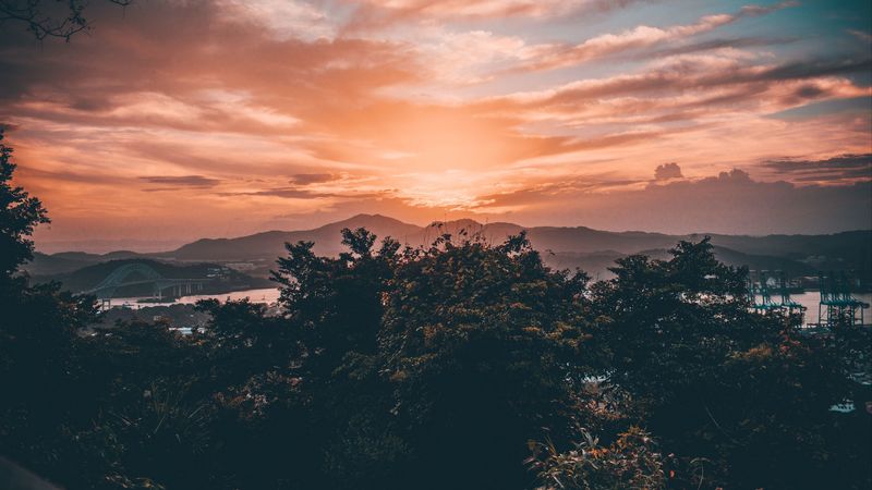 trees, clouds, sunset, sky, landscape, 4k