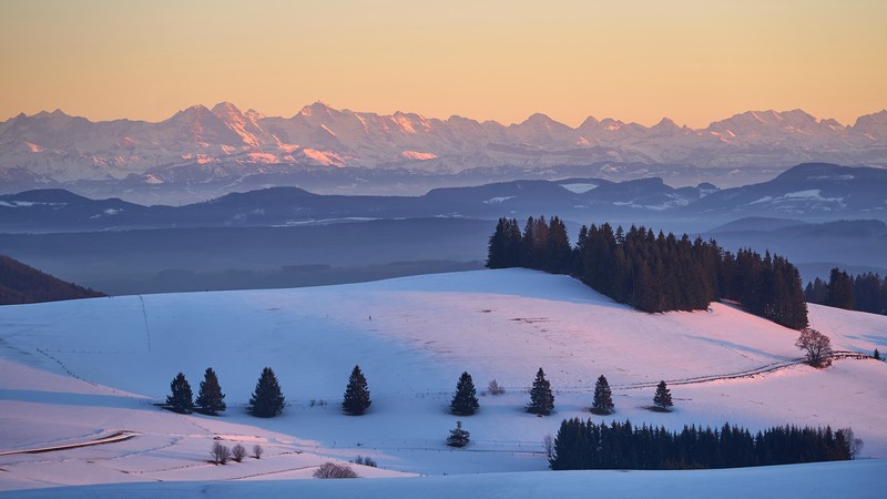 nature, snow, sunset, trees, mountains, winter