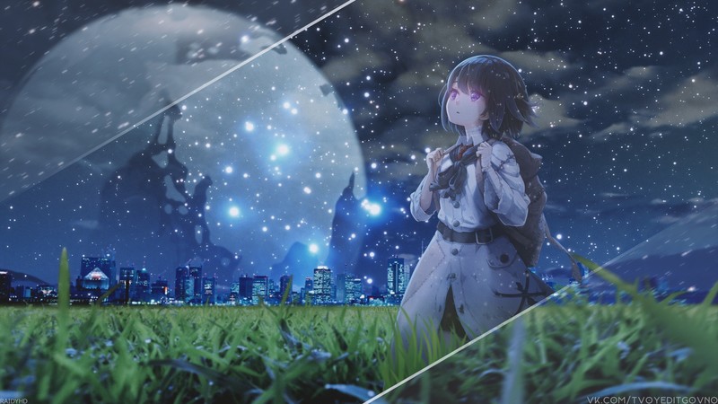 anime, anime girls, moonlight, night, field