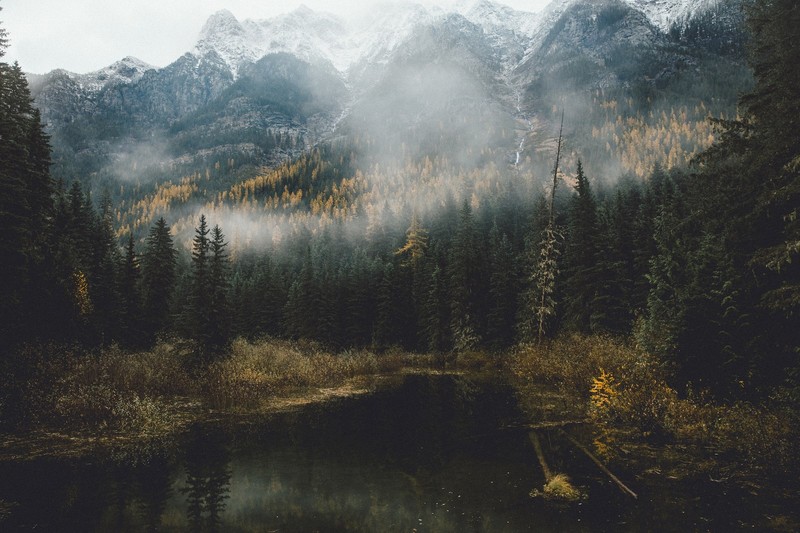 nature, outdoors, landscape, mountains, mist, trees, forest