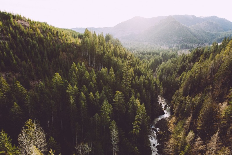 nature, outdoors, landscape, mountains, mist, trees, forest, river