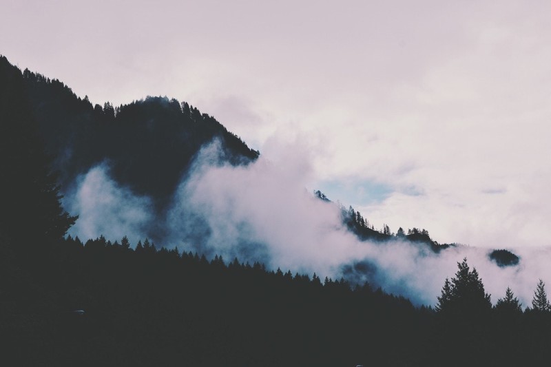 nature, outdoors, landscape, mountains, mist