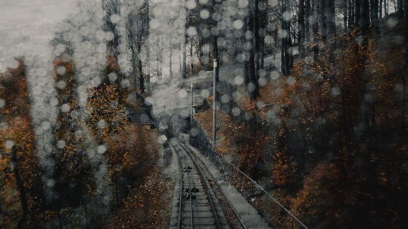 railway, rails, glare, fog, forest, 4k