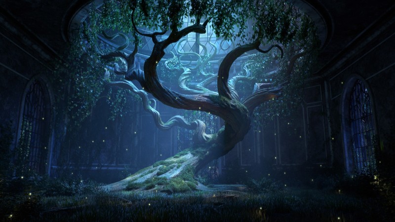 Nitesh Nagda, night, trees, nature, room, lights, fireflies