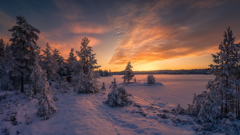 Norway, winter, nature, sunset, snow, frozen lake, pine trees
