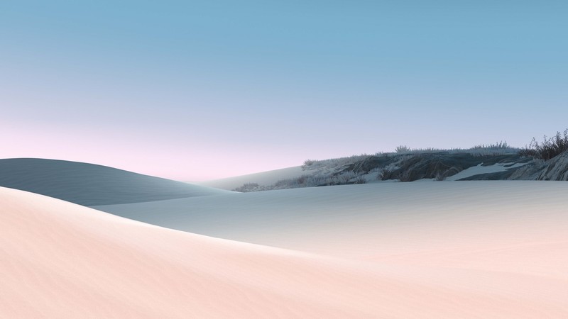 Microsoft, sketches, nature