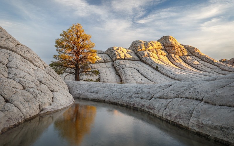 nature, water, rock, outdoors, trees, sun rays