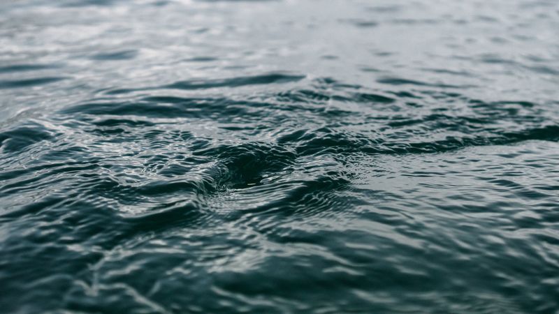 water, ripples, surface, blur, 4k