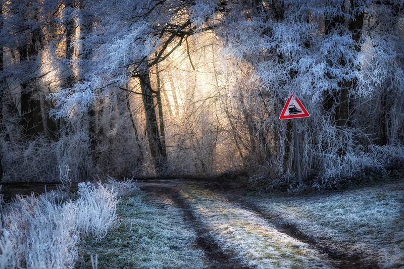 sign, cold, winter, ice, outdoors, frost