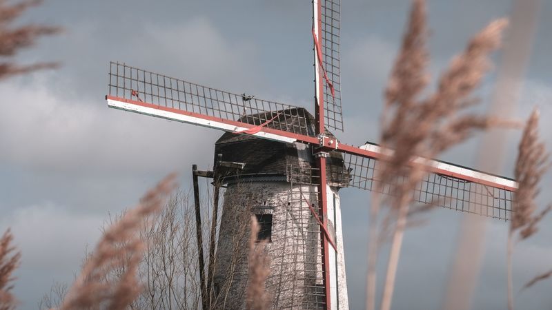 mill, wind, grass, sky, 4k
