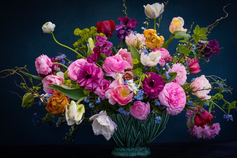 colorful, flowers, plants, petals