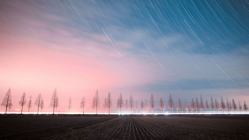 starry sky, trees, night, sky, stars, 4k