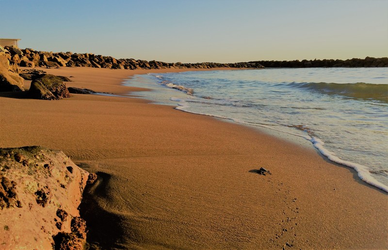 Santa Severa, sea, crabs, sand, Italy, waves