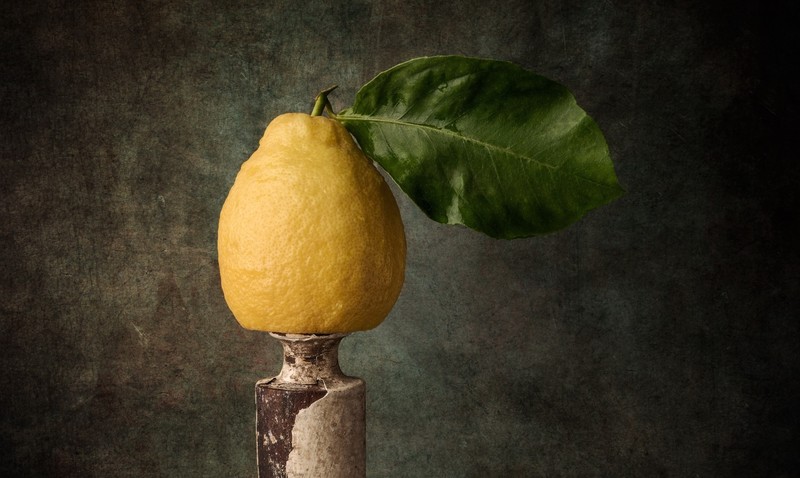 still life, lemons, leaves