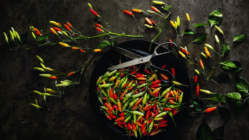 food, scissors, vegetables, Pepper, chilli peppers