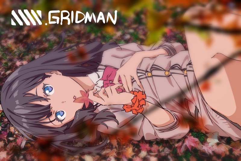 SSSS.GRIDMAN, anime, anime girls, Takarada Rikka