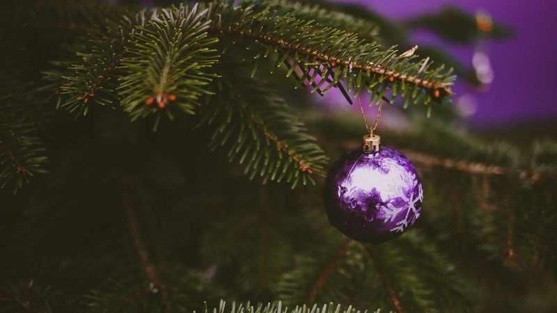 tree, decoration, ball, purple, holiday, 4k