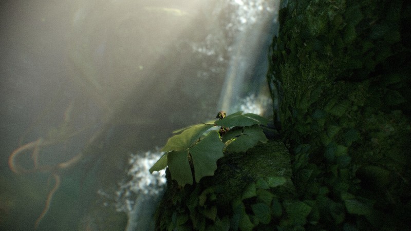 Warframe, Ivara, waterfall, nature, leaves, water