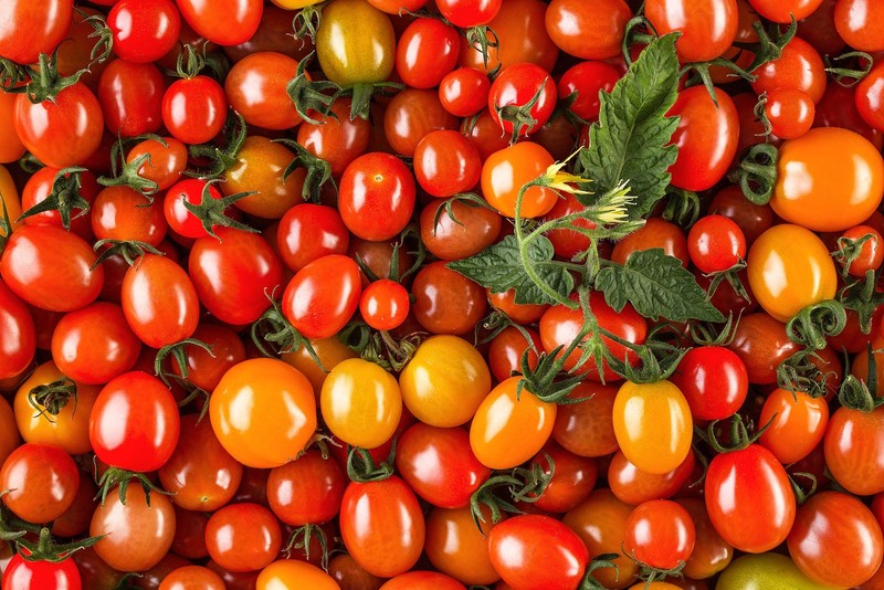 red, tomatoes, food, leaves