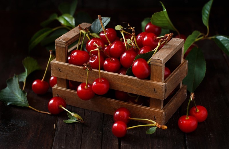 food, fruit, cherries