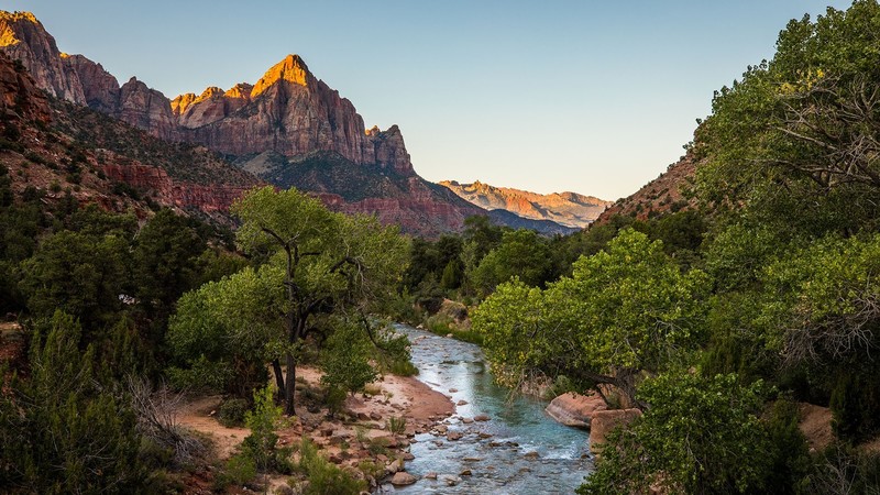 nature, landscape, mountains, rocks, trees, forest, plants, canyon, clear sky, river, Zion National Park, Utah, USA