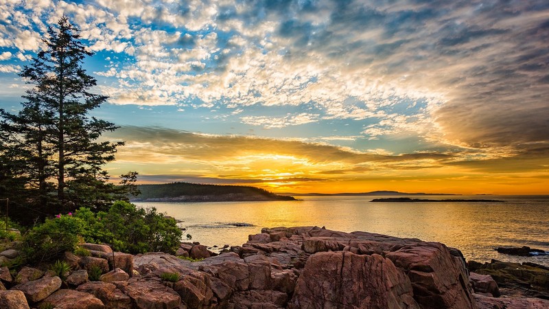 nature, landscape, mountains, trees, plants, rocks, water, coast, clouds, sky, sunrise, Mount Desert Island, Maine, USA