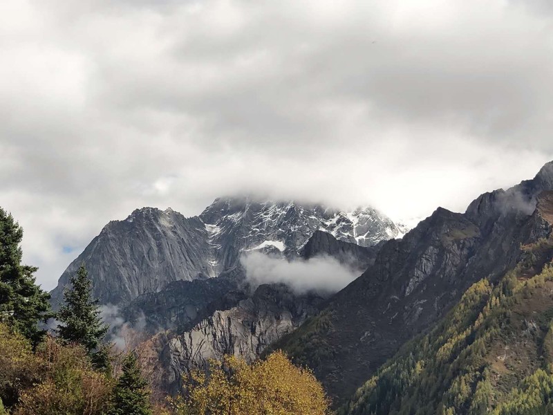 mountains, White Mountains, trees, clouds, overcast