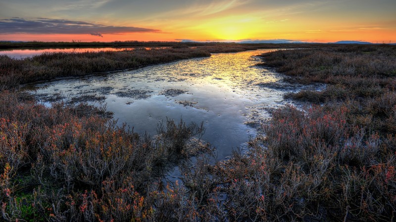nature, landscape, river, grass, plants, clouds, sky, sunset, California, USA