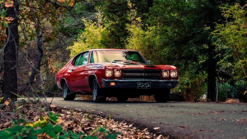 vehicle, car, red cars, Chevrolet Chevelle, road, trees