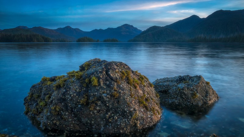 nature, landscape, mountains, clouds, dawn, moss, lake, trees, forest, long exposure, British Columbia, Canada