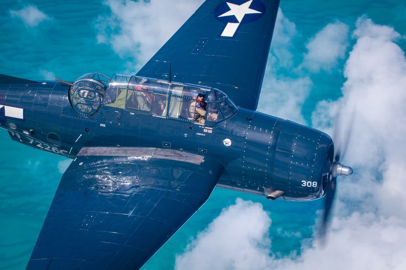 vehicle, blue, aircraft, military aircraft, Grumman TBF Avenger