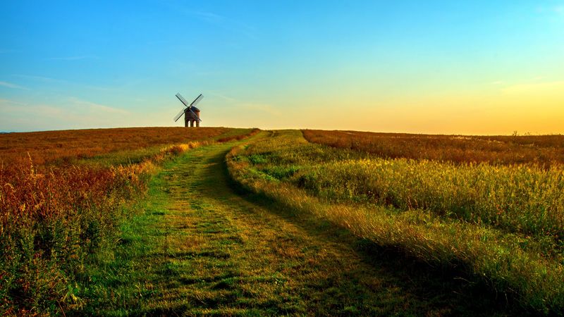 field, mill, horizon, summer, grass, sunset, 4k