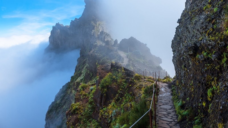 nature, landscape, walkway, stairs, clouds, sky, plants, mountains, mist, madeira, Portugal