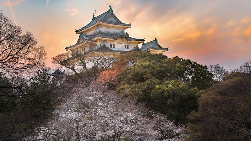 nature, landscape, building, trees, Asian architecture, pagoda, sunset, forest, Japan, Osaka Castle, Osaka