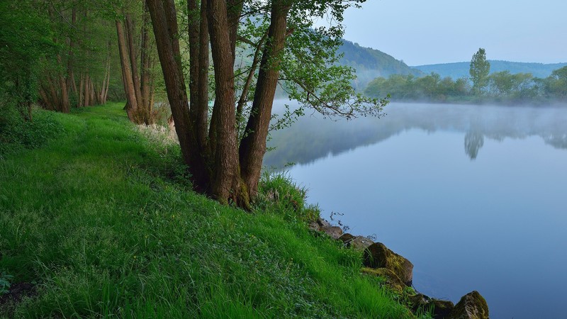 nature, landscape, trees, plants, grass, sky, river, mist, rocks, morning, Bavaria, Germany