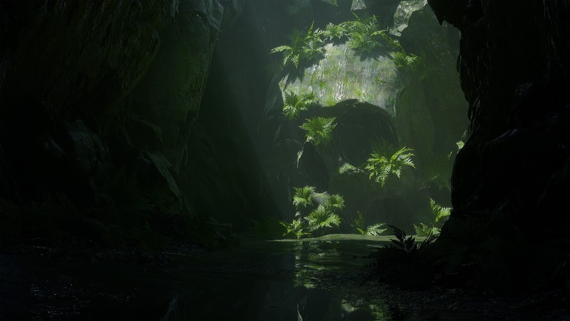 artwork, digital, plants, rocks, skull, mud, water, reflection, sun rays, pirates