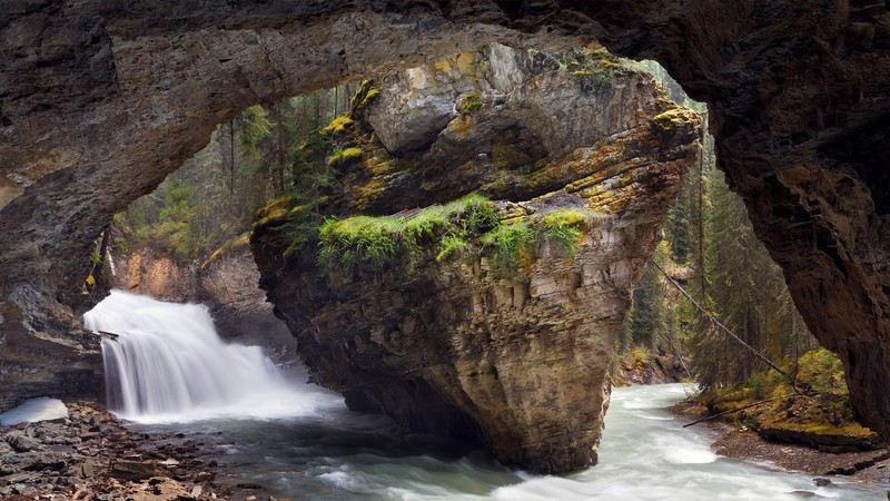 nature, landscape, rocks, cave, waterfall, plants, trees, moss, long ...