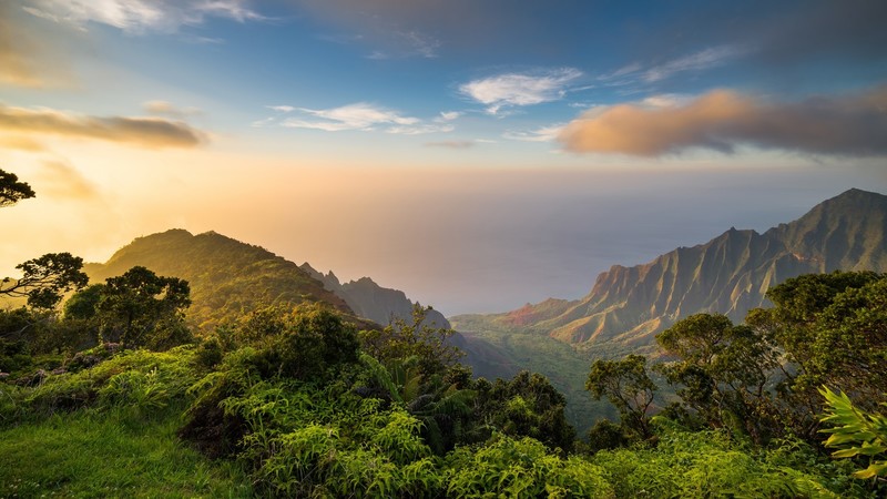 nature, landscape, clouds, trees, forest, sky, dawn, plants, horizon, Pacific Ocean, Kauai, Hawaii