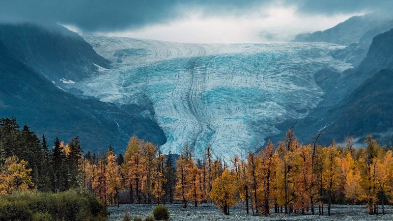 Alaska, nature, trees, glacier, fall, landscape