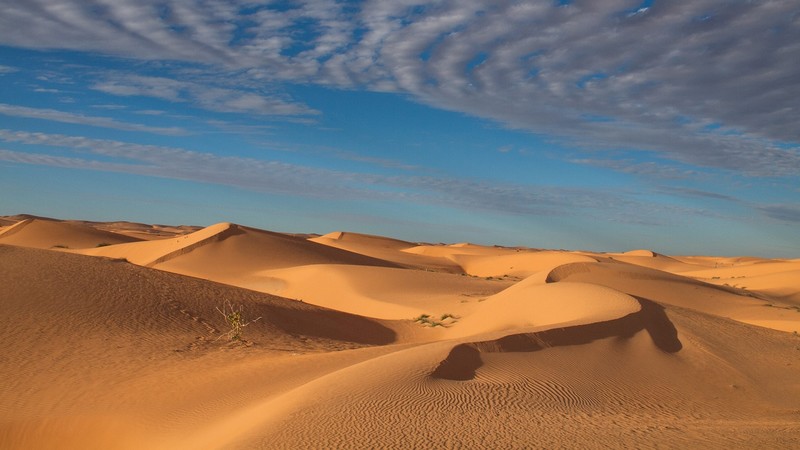 nature, landscape, desert, plants, sand, clouds, sky, Sand Ripples, dunes, Sahara, Egypt