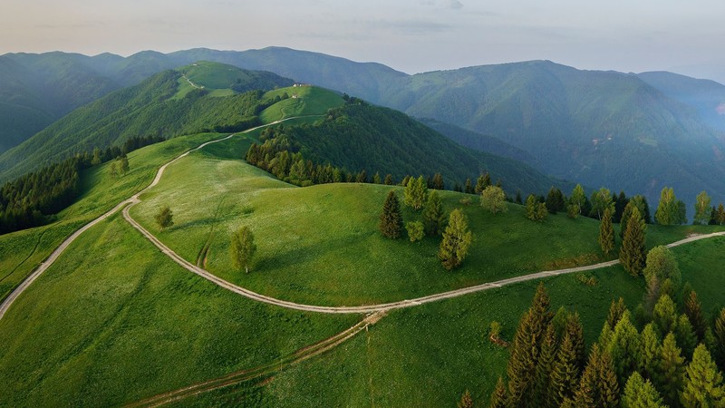 nature, landscape, path, road, trees, forest, grass, mountains, aerial view, clouds, dawn, Veneto, Italy