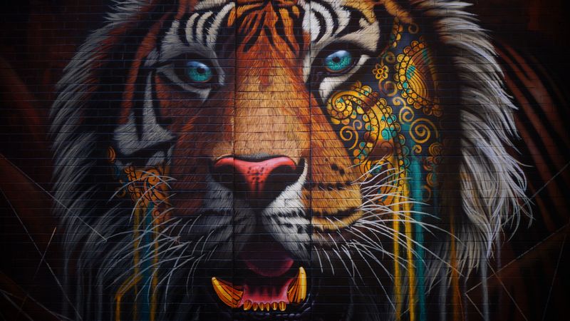 tiger, graffiti, street art, wall, colorful, 4k